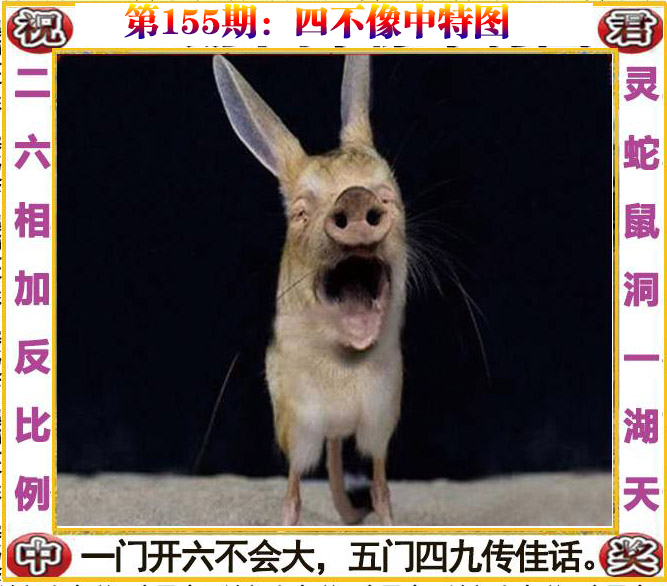 更新中...