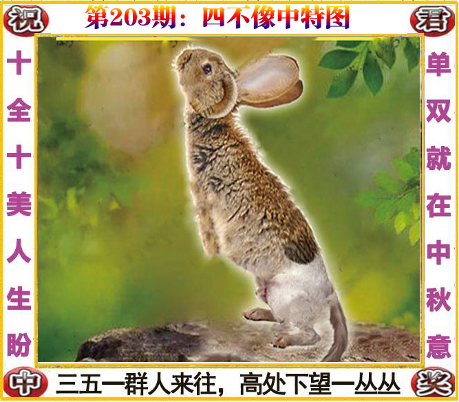 更新中...